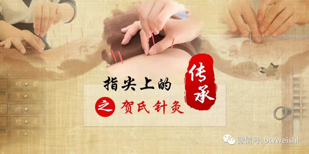 贺氏针灸养生堂视频全集,贺氏针灸养生堂