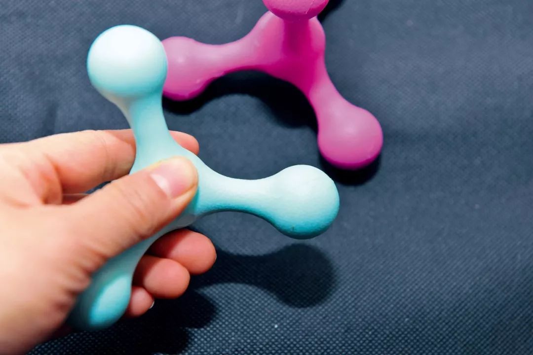 柴犬实测7款玩具：网络上的热门款玩具适合它玩耍吗？