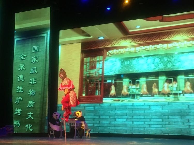 和小屁孩们一起出去玩的视频,和小屁孩玩的一天