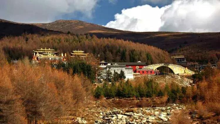 春节旅游一定要去五台山吗,今年冬天一定要去一趟五台山
