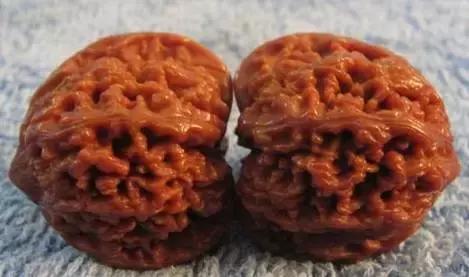 文玩核桃品种图鉴大全前十名,文玩核桃手串品种大全