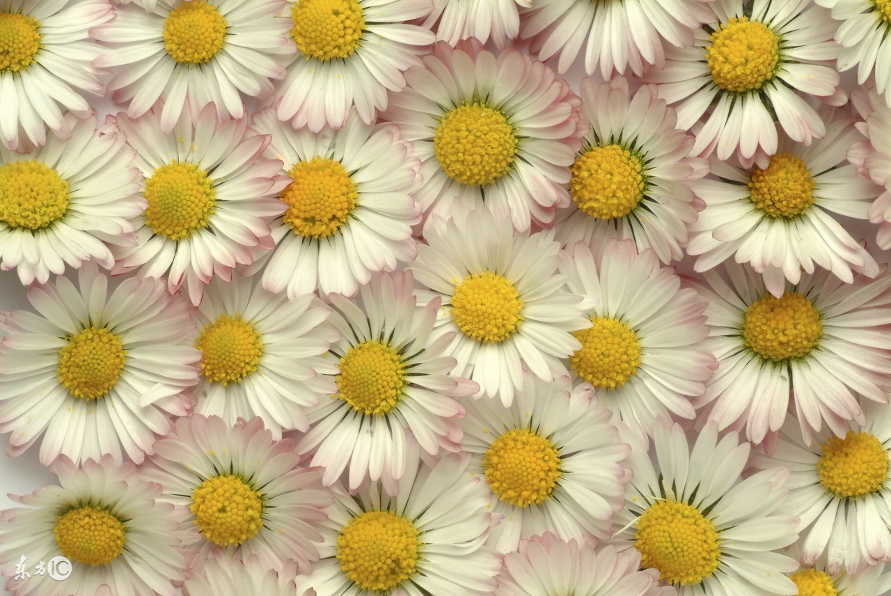 经常耳鸣怎么治疗最有效,肾阳亏虚引起耳鸣用什么中药方子