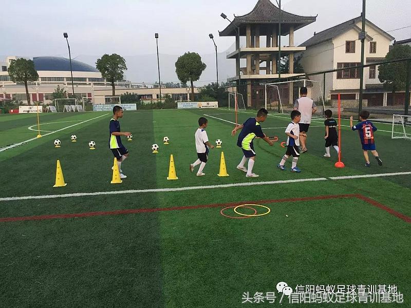 信阳蚂蚁足球直播,信阳蚂蚁足球培训班