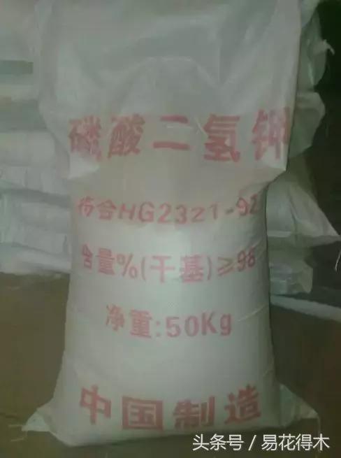 花卉黄叶怎么处理最简单的方法,让花卉快速生长不黄叶的小方法