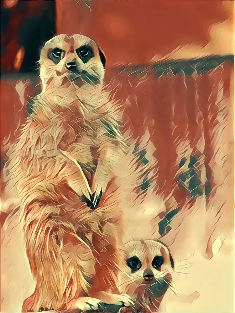 证券经纪人需要的常识,一个中介的自白