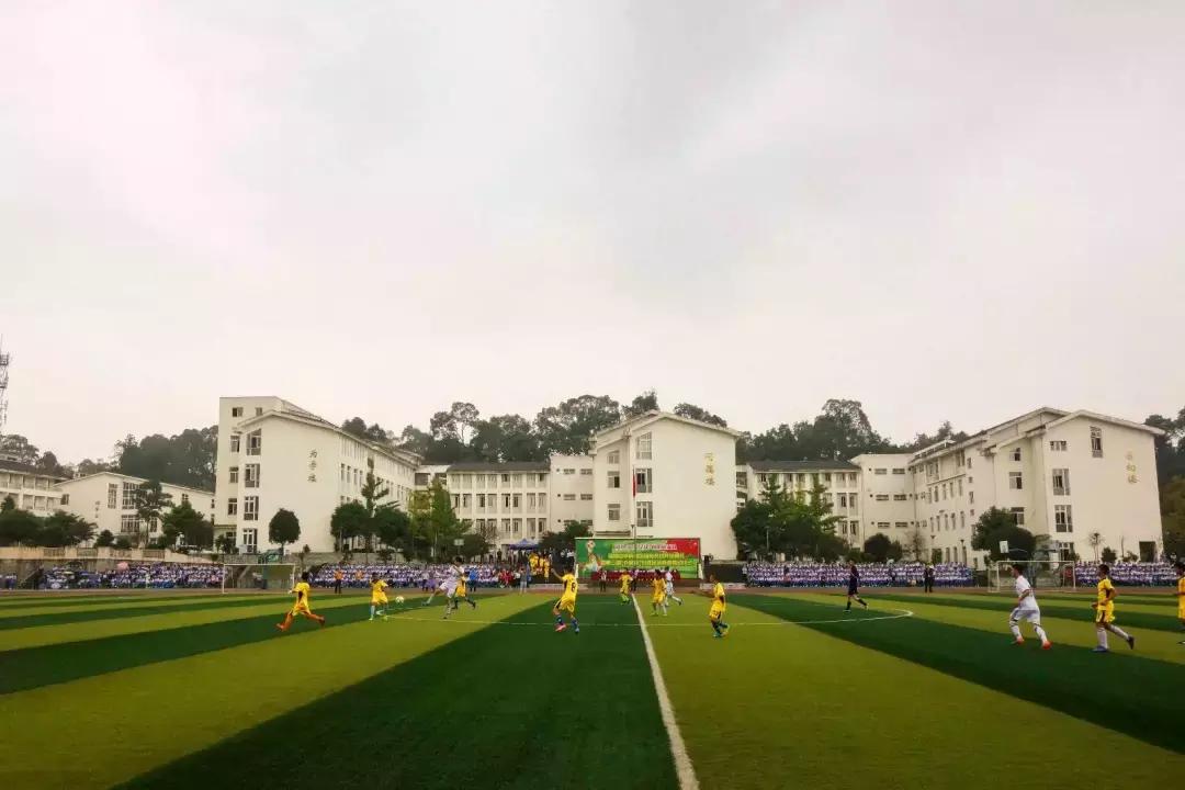 都江堰足球比赛,都江堰市第八届校园足球联赛