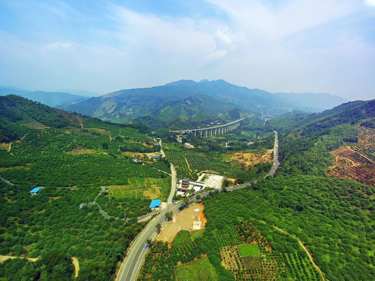 贺州特色农业产业是什么,贺州市村级经济产业示范园