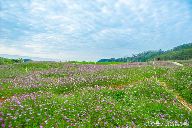 中国第一家度假型希尔顿酒店，1600元的价格到底值不值得去住？