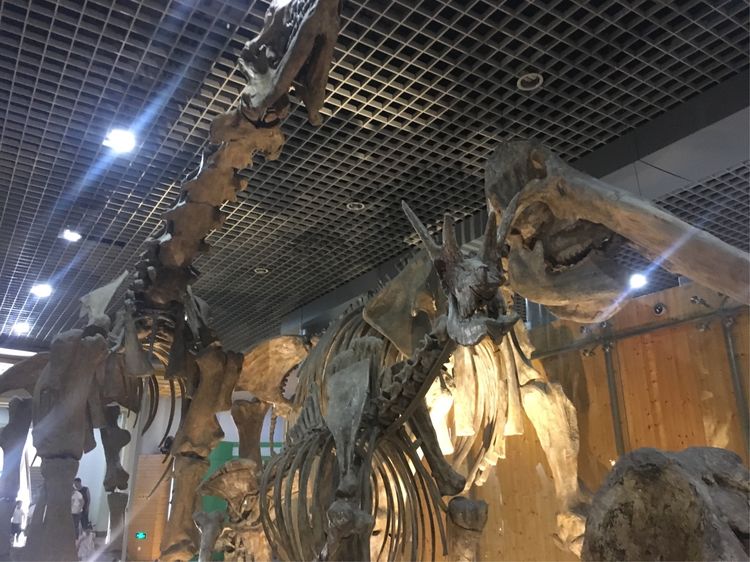 和小屁孩们一起出去玩的视频,和小屁孩玩的一天