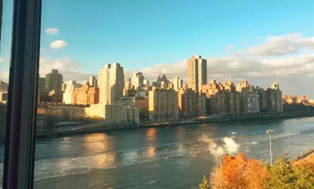 拒绝凑合——留学生dorm公开（内附提高日常幸福感小物推荐）