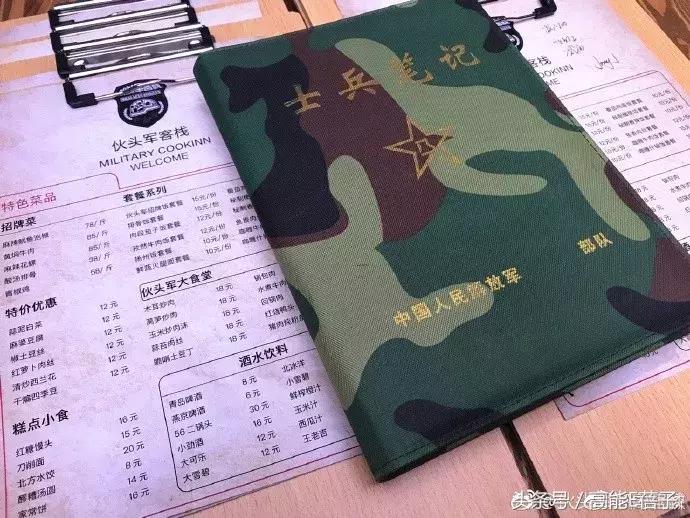 家有儿女夏东海年龄,家有儿女第一部夏东海背黑锅