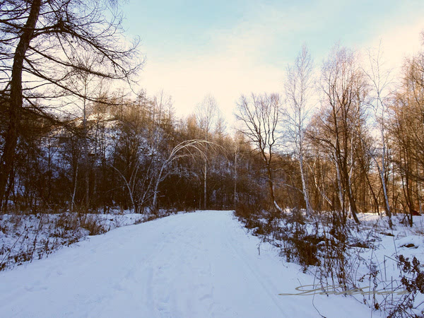 黑河兴安岭中有一个村款待客人方式怎么和蒙古族人一样？