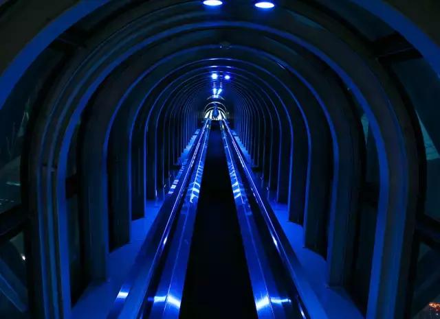 为啥日本自由行首选大阪而非东京,日本自由行忌讳