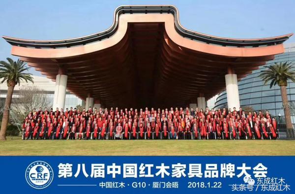 厦门机场金砖会晤,金砖国家峰会在厦门会晤