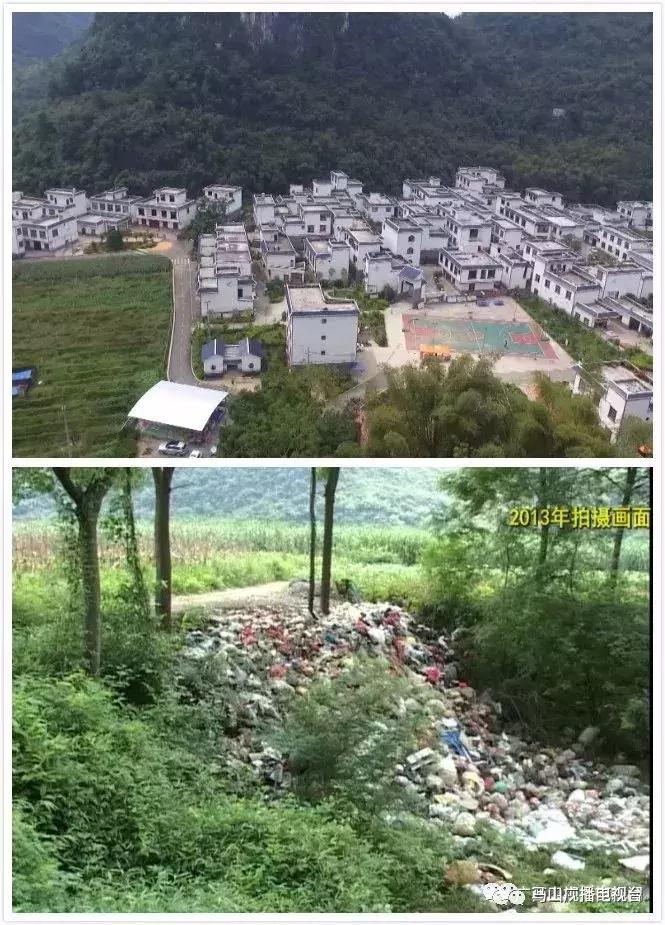 广西生态：“金字招牌”越擦越亮绿水青山变成“金饭碗”