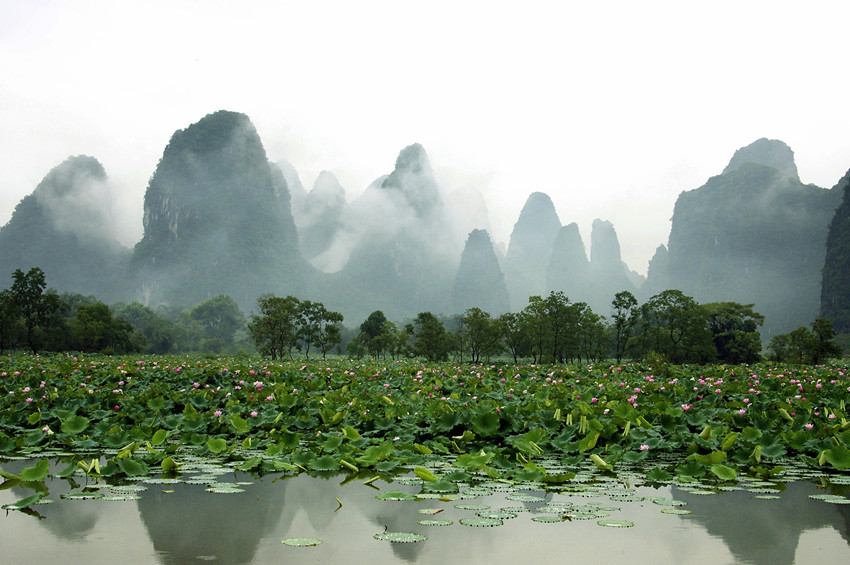 贺州特色农业产业是什么,贺州市村级经济产业示范园