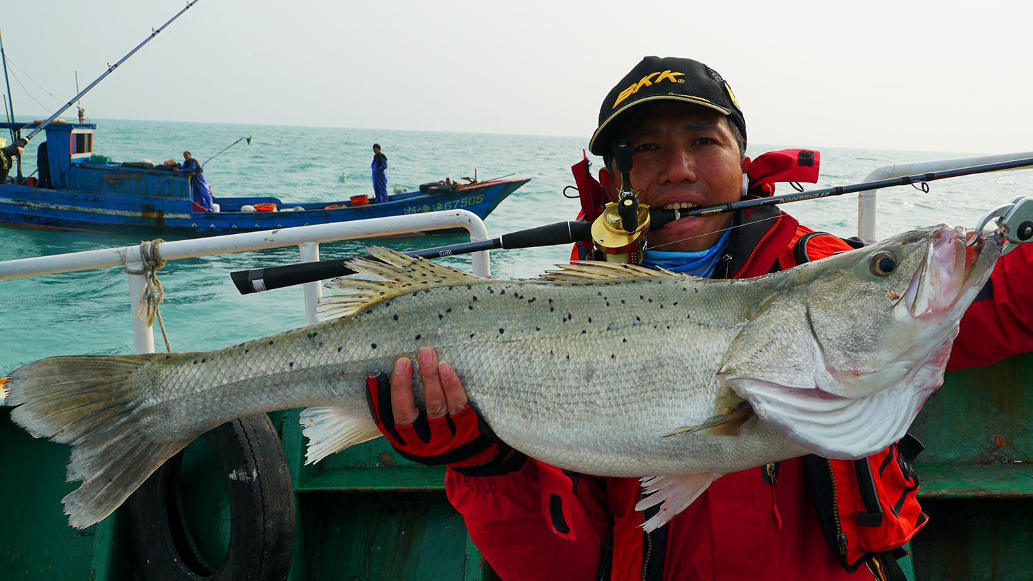 今年第一次钓海鲈鱼,最新钓七星鱼视频
