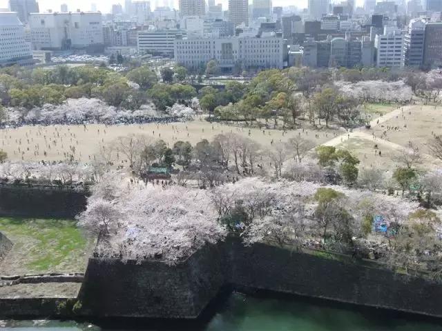 为啥日本自由行首选大阪而非东京,日本自由行忌讳
