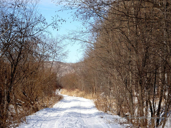 黑河兴安岭中有一个村款待客人方式怎么和蒙古族人一样？