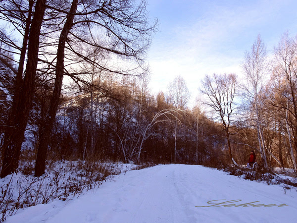 黑河兴安岭中有一个村款待客人方式怎么和蒙古族人一样？