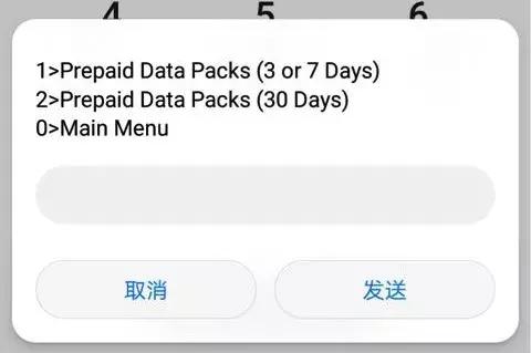 在新加坡怎么查询手机流量明细,在新加坡用中国手机流量