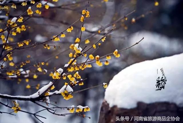 玩转河南冬天,玩转河南许昌