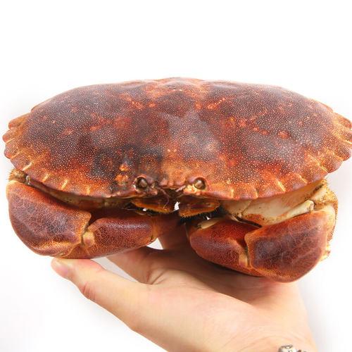 寒冷的冬天唯有火锅可以拯救,寒冷的冬天唯有火锅暖胃又解馋