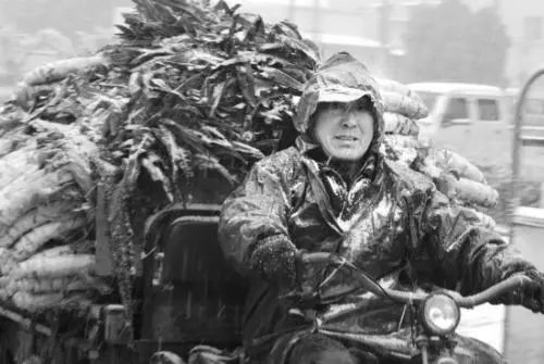 暴雪黄色预警有多大,内蒙马铃薯受冻影响行情吗