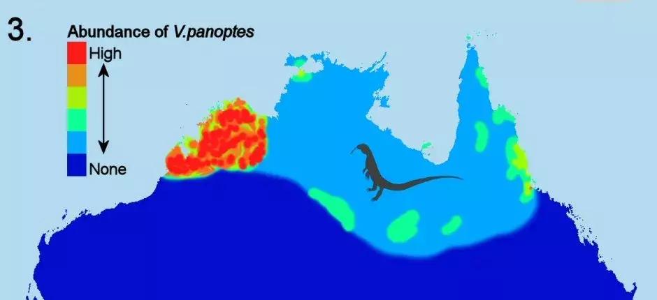澳洲大量狗舔蟾蜍上瘾,狗狗舔到蟾蜍有没有事