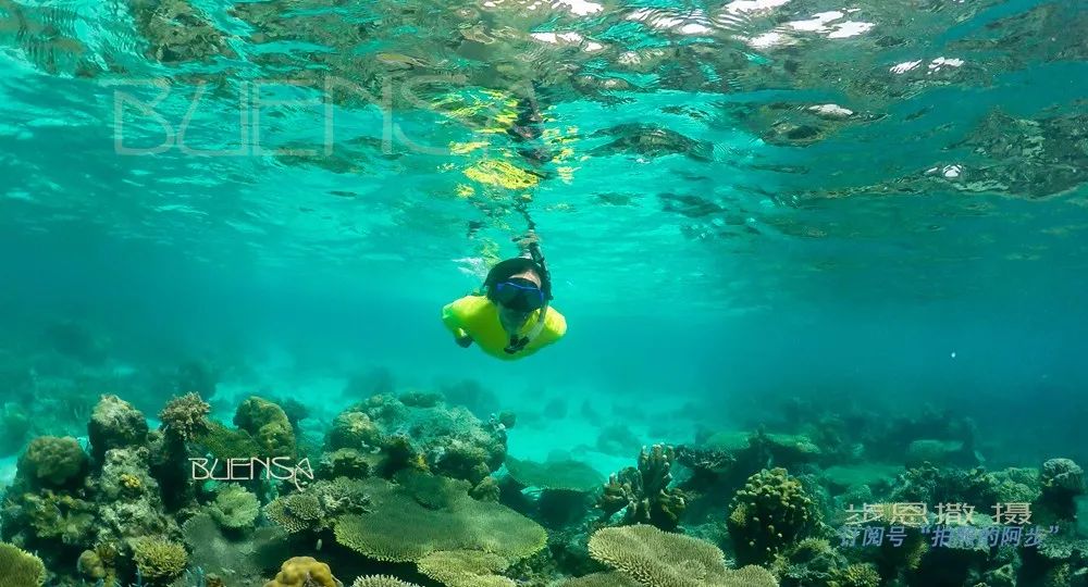 菲律宾好玩的特产,菲律宾什么便宜
