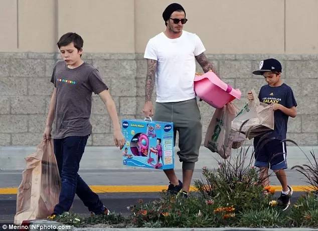 贝克汉姆从小七出生就抱小七,贝克汉姆和小七日常