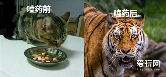 不管你承不承认，“纯粹”的电子竞技早在十年前就已被兴奋剂腐蚀