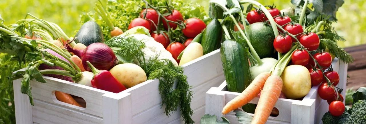 有机农业产业发展,生态农业绿色产业发展