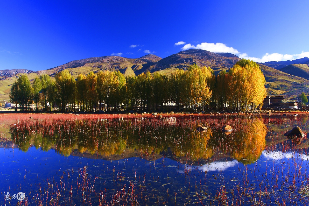 成都到稻城亚丁报团旅游费用,成都到稻城亚丁可以坐大巴去了吗