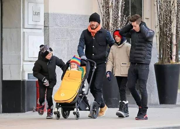 贝克汉姆从小七出生就抱小七,贝克汉姆和小七日常