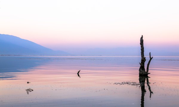 大理洱海是不是已经关闭,大理洱海客栈停业整顿