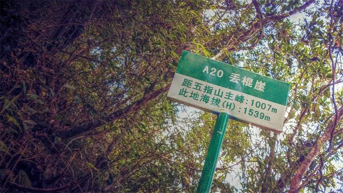 三亚旅游攻略纪念品,自驾游海南三亚必备物品清单