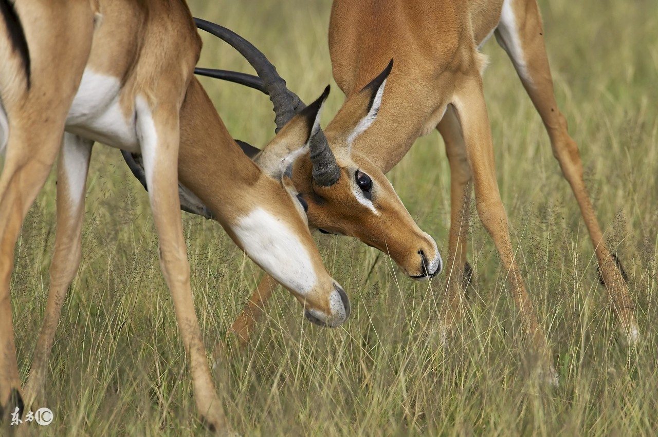 看图旅游,看图旅行