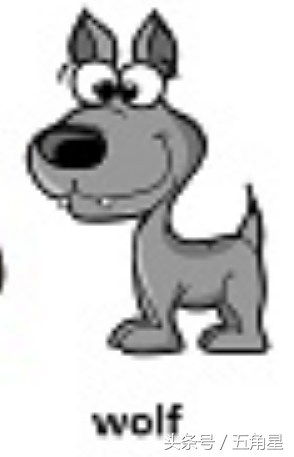 20个动物英语单词,2-8岁儿童学动物英文单词