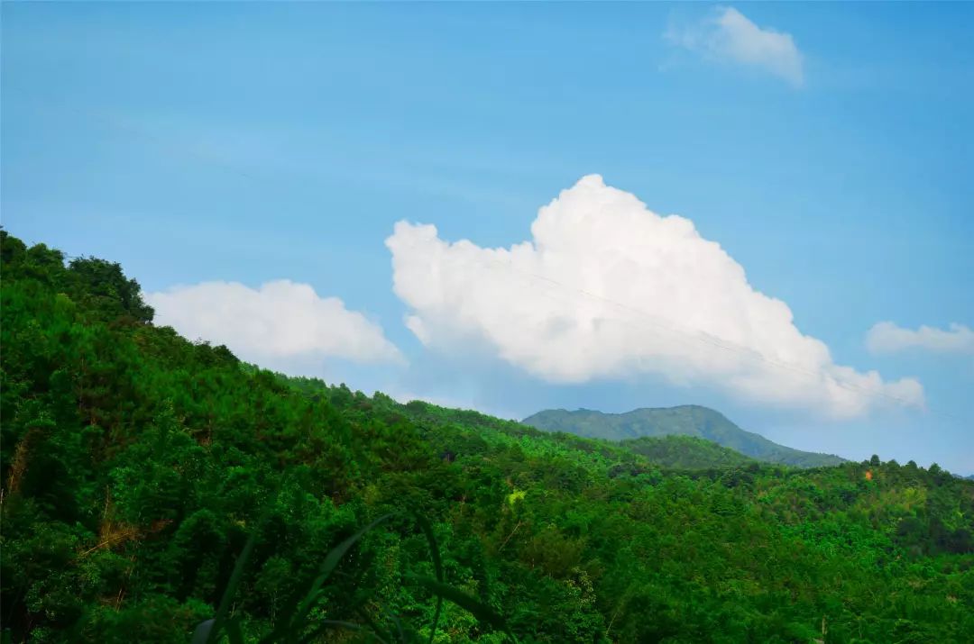 2018年春节你准备怎么过,2018年的春节你想在哪儿过