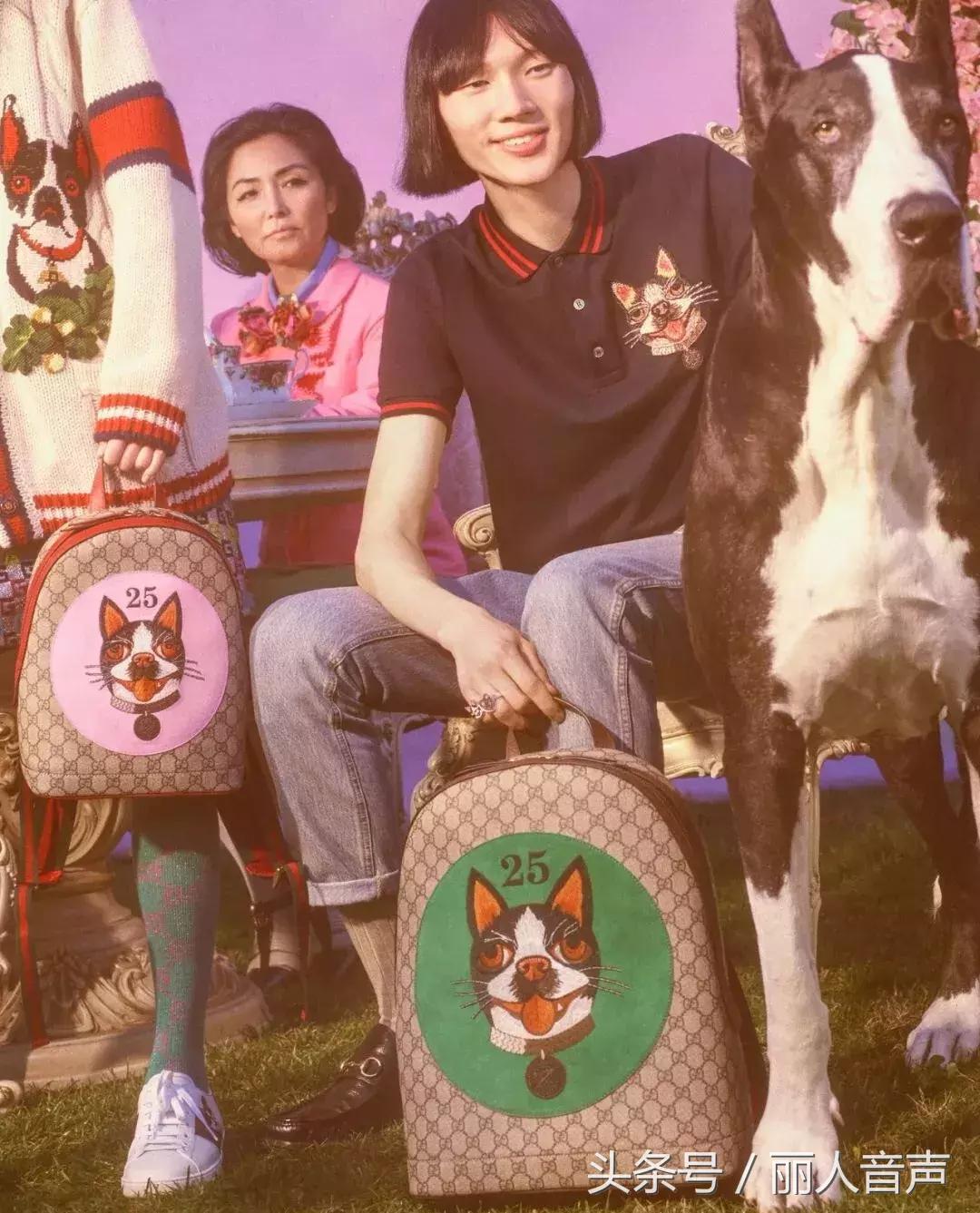 对十二生肖的权威解读表,中国人对十二生肖的看法