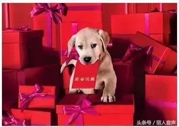 对十二生肖的权威解读表,中国人对十二生肖的看法