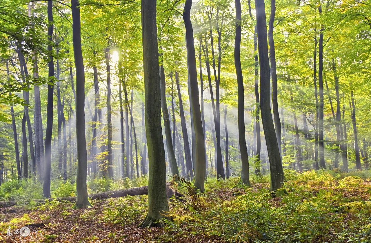 屯昌天悦花园最新房价,屯昌县天悦花园三房