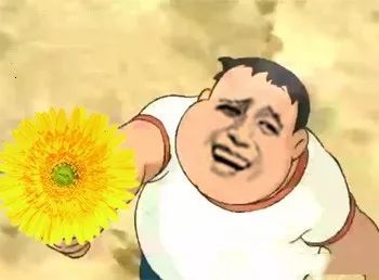 车上有鸟屎长时间不处理会怎么样,有鸟屎掉车上暂时不洗车怎么处理