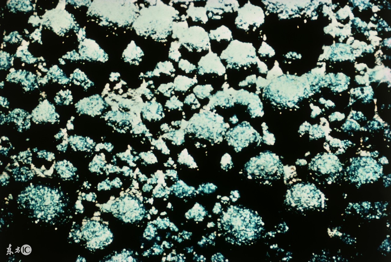 深海锰结核矿分布在哪,深海锰结核矿能做什么