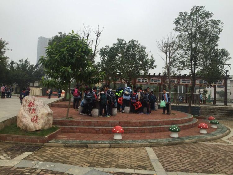 学生成长的沃土师生眷恋的乐园一一八桂绿城小学2017年工作汇报