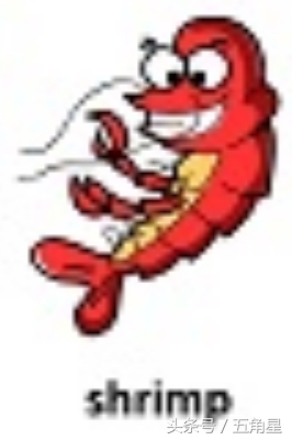 动物的英文单词都有哪些,动物英语单词13个