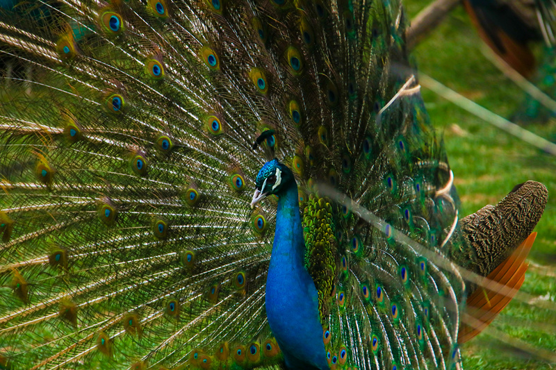 司徒小镇景区栖嬉园,山西司徒小镇栖嬉园