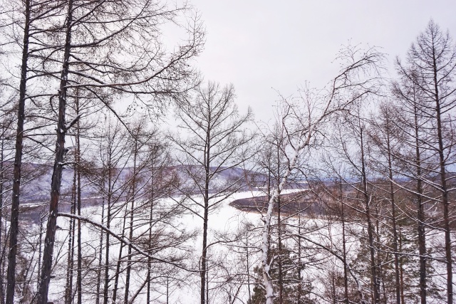 「新年目的地推荐一」金鸡之巅，边境梦雪，一路向北