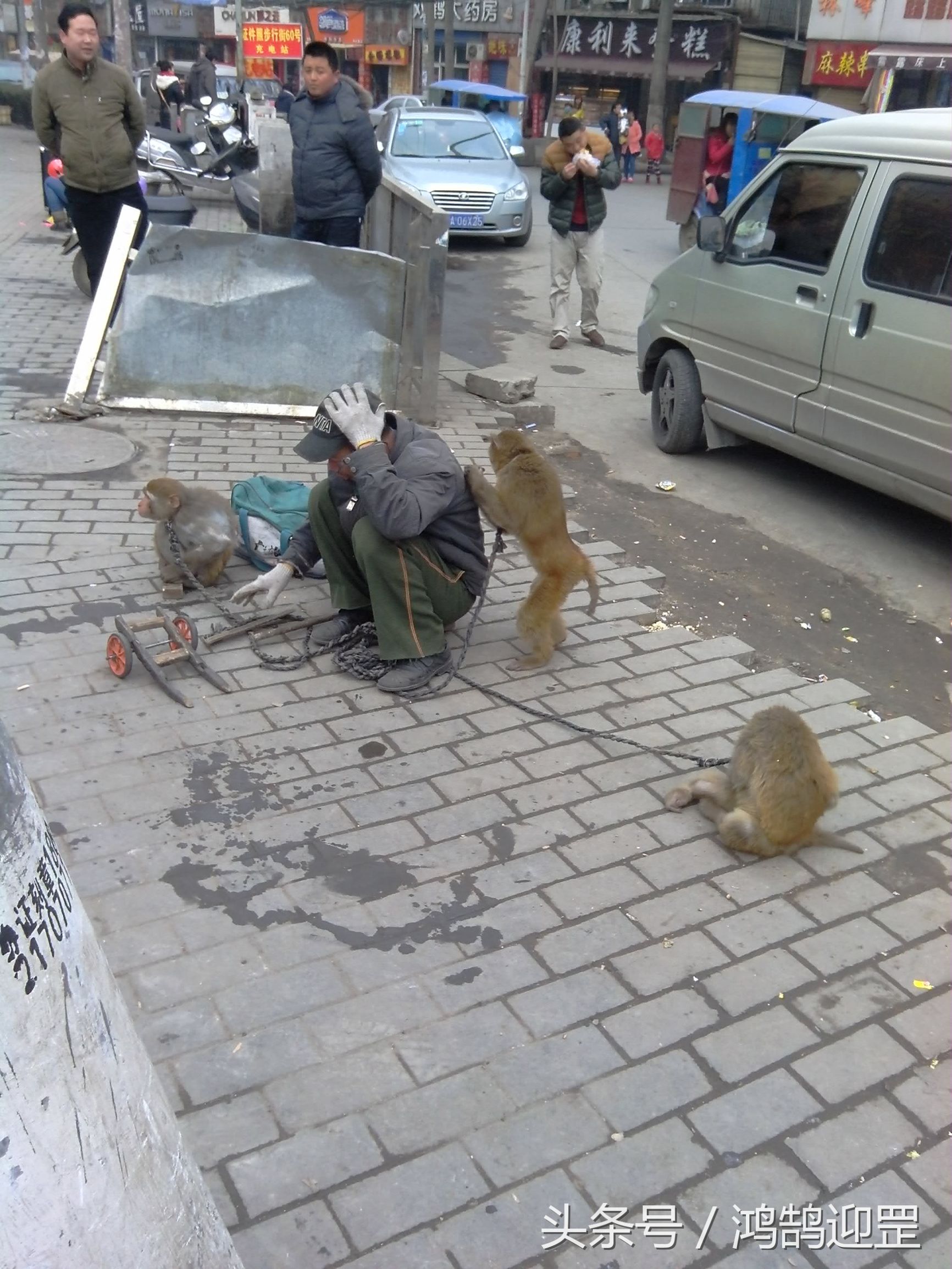 陕西西安鱼化寨,西安鱼化寨耍猴